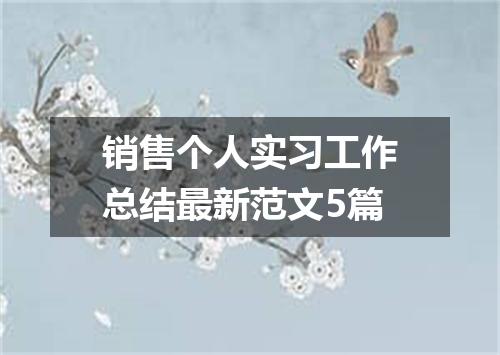 销售个人实习工作总结最新范文5篇