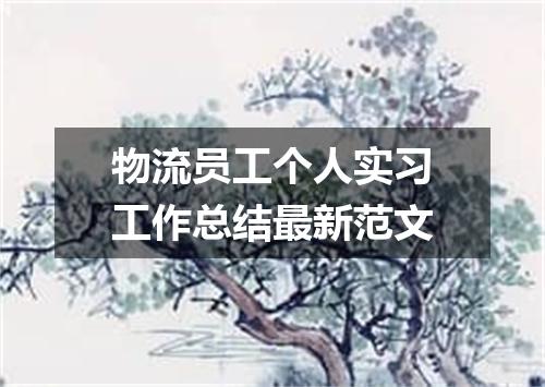 物流员工个人实习工作总结最新范文