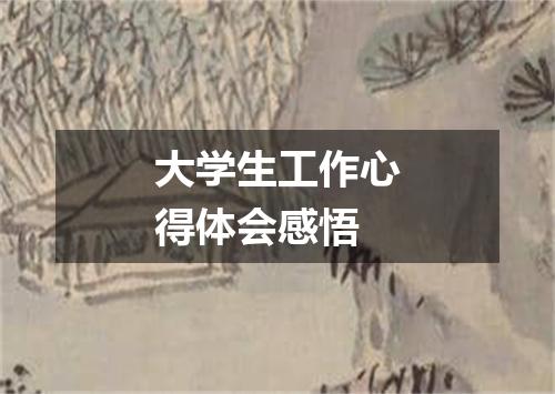 大学生工作心得体会感悟