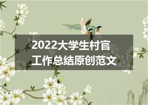 2022大学生村官工作总结原创范文
