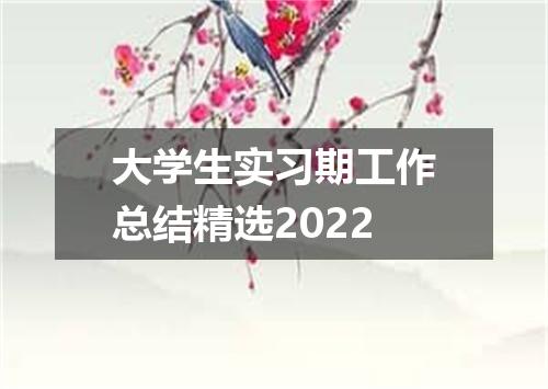 大学生实习期工作总结精选2022