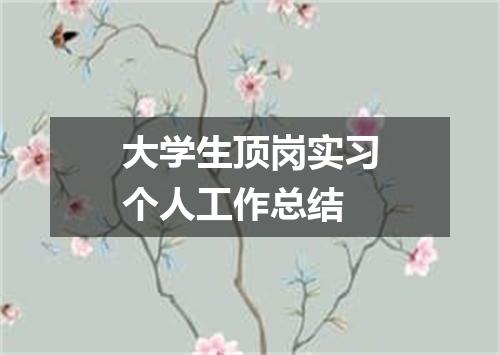 大学生顶岗实习个人工作总结