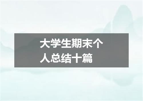 大学生期末个人总结十篇