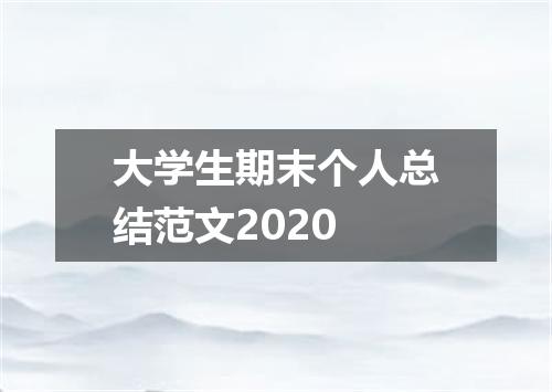 大学生期末个人总结范文2020