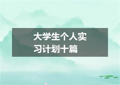 大学生个人实习计划十篇