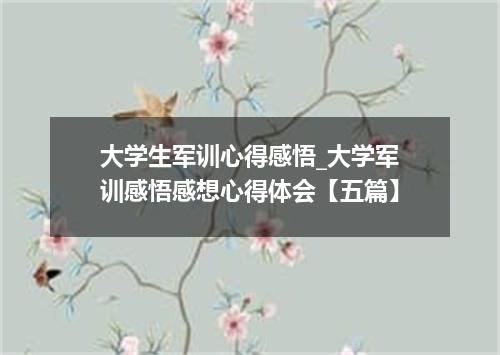 大学生军训心得感悟_大学军训感悟感想心得体会【五篇】