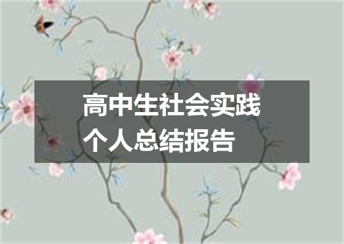 高中生社会实践个人总结报告