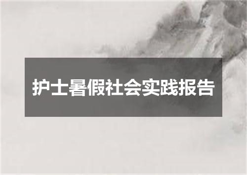 护士暑假社会实践报告