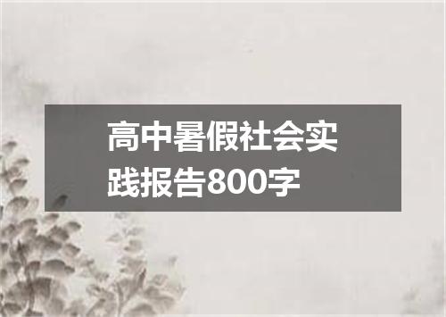 高中暑假社会实践报告800字