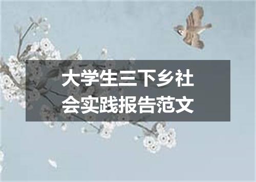 大学生三下乡社会实践报告范文