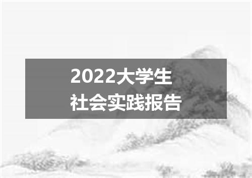 2022大学生社会实践报告
