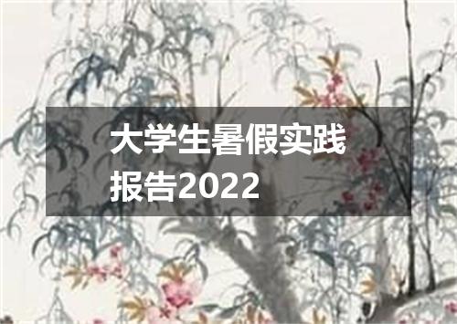 大学生暑假实践报告2022