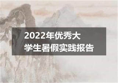 2022年优秀大学生暑假实践报告