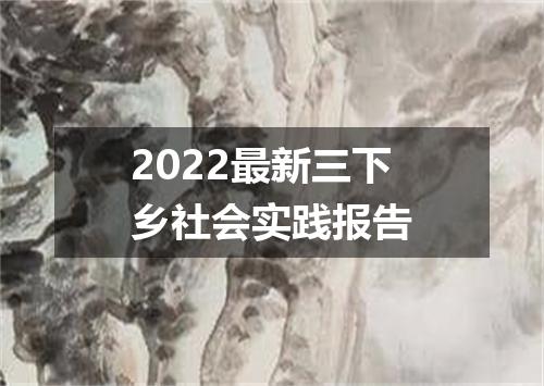 2022最新三下乡社会实践报告