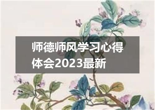 师德师风学习心得体会2023最新