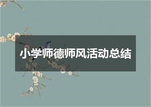 小学师德师风活动总结