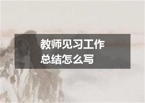 教师见习工作总结怎么写