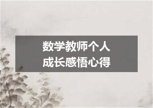 数学教师个人成长感悟心得