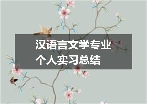 汉语言文学专业个人实习总结