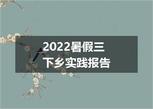 2022暑假三下乡实践报告