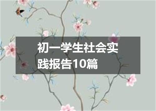 初一学生社会实践报告10篇