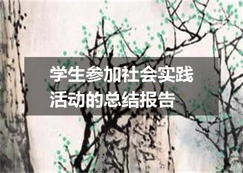 学生参加社会实践活动的总结报告