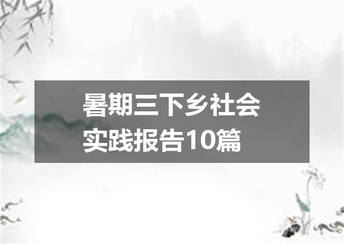 暑期三下乡社会实践报告10篇