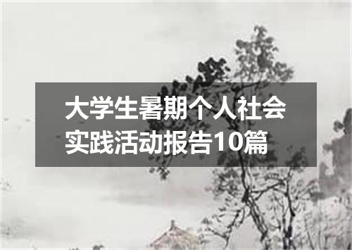 大学生暑期个人社会实践活动报告10篇