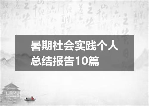 暑期社会实践个人总结报告10篇