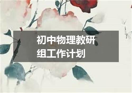 初中物理教研组工作计划