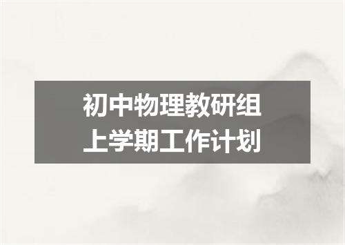 初中物理教研组上学期工作计划