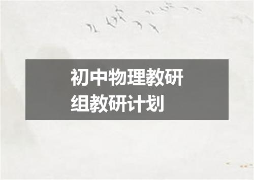 初中物理教研组教研计划