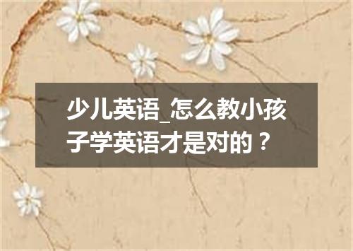 少儿英语_怎么教小孩子学英语才是对的？