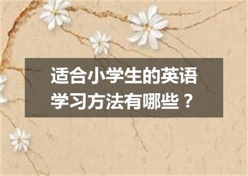 适合小学生的英语学习方法有哪些？