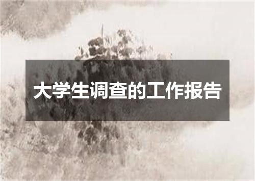 大学生调查的工作报告