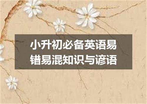 小升初必备英语易错易混知识与谚语