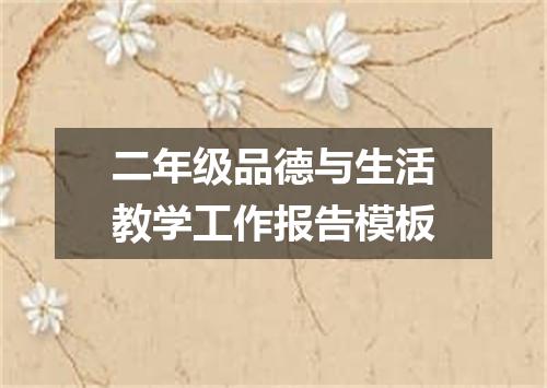 二年级品德与生活教学工作报告模板