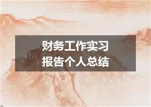 财务工作实习报告个人总结
