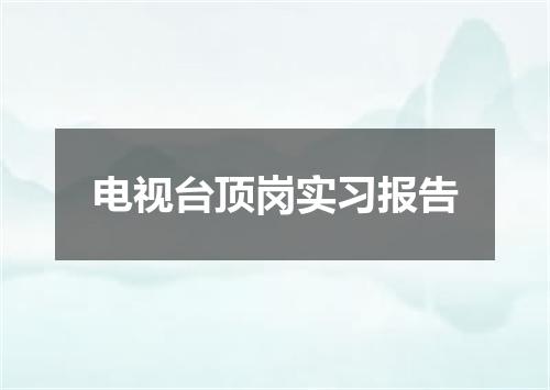 电视台顶岗实习报告
