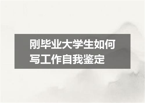 刚毕业大学生如何写工作自我鉴定