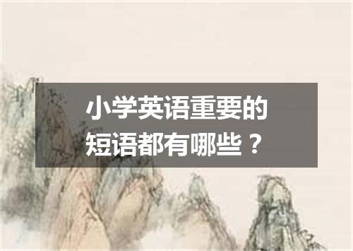 小学英语重要的短语都有哪些？