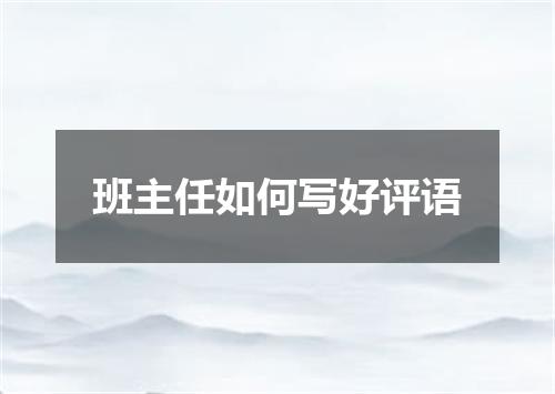 班主任如何写好评语