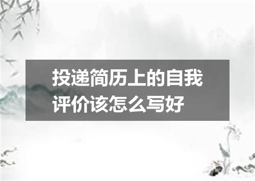 投递简历上的自我评价该怎么写好