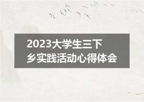 2023大学生三下乡实践活动心得体会
