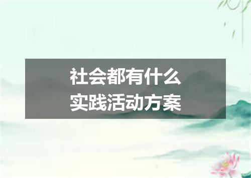 社会都有什么实践活动方案