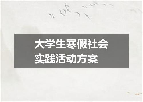 大学生寒假社会实践活动方案