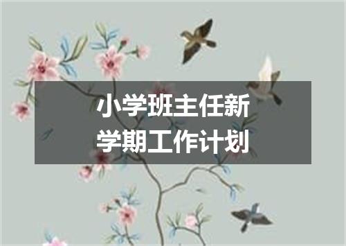 小学班主任新学期工作计划
