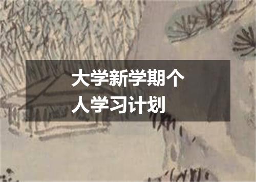 大学新学期个人学习计划