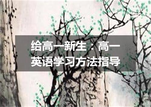 给高一新生：高一英语学习方法指导