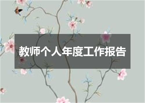 教师个人年度工作报告